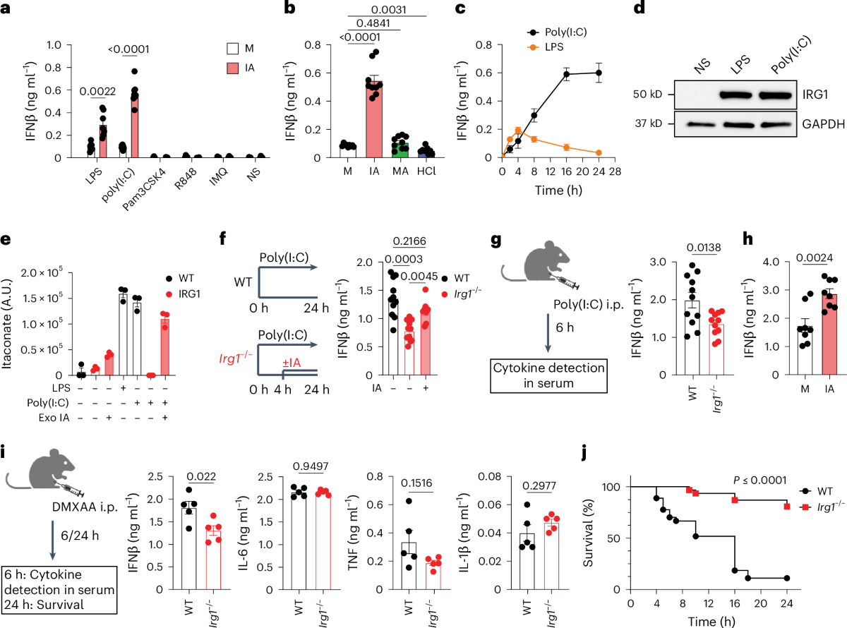 glutathione scavenger in russian Itaconate modulates immune responses via inhibition of peroxiredoxin 5 sunshine glutathione 10x cách Rejuvenating Supply Duration:3 months supply