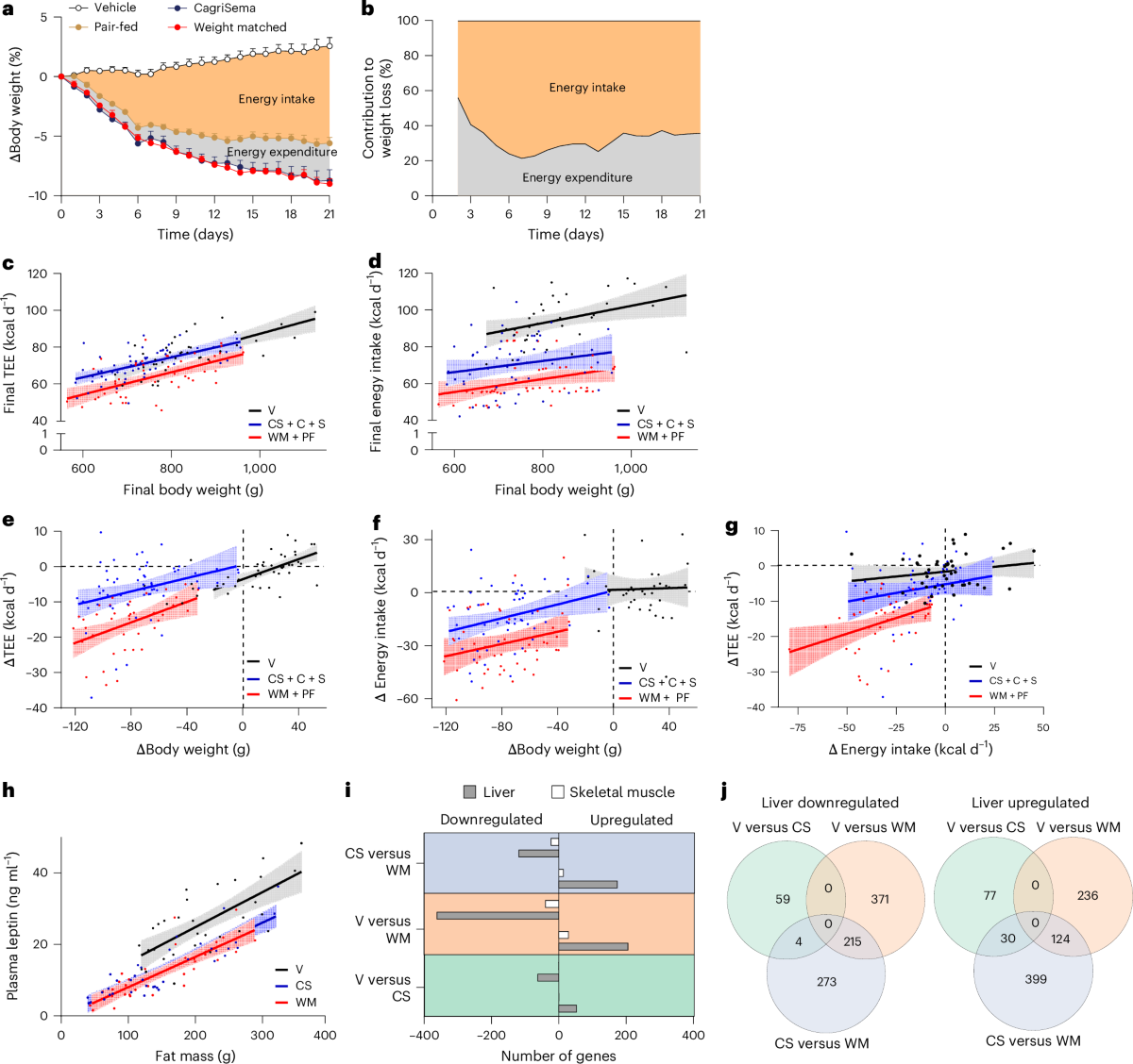 glutathione hashimotos reddit Ferroptosis in Pneumoconiosis: From Molecular and Cellular Mechanisms to  Therapeutic Strategies - Yan - 2025 - Med Research