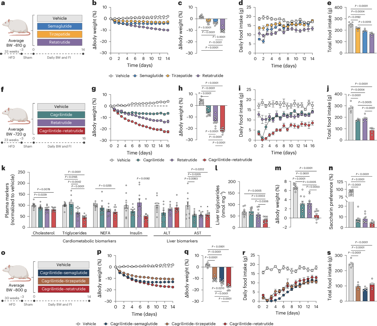 Cagrilintide and retatrutide combination therapy enhances weight loss and metabolic outcomes in obese male rats