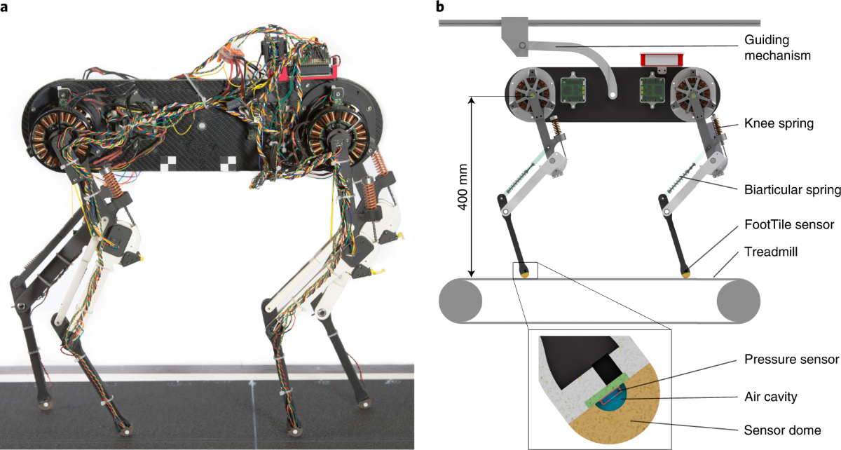 Learning plastic matching of robot dynamics in closed-loop central pattern  generators | Nature Machine Intelligence