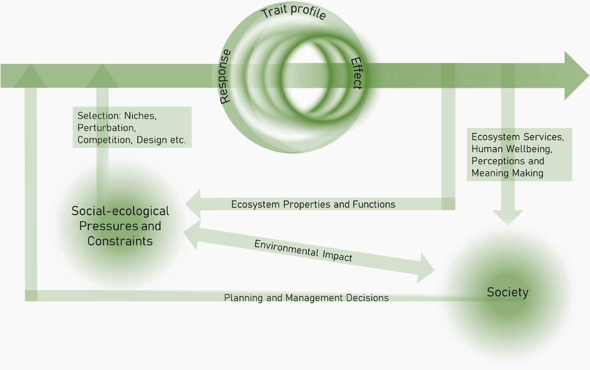 What are the traits of a social-ecological system: towards a framework in  support of urban sustainability | npj Urban Sustainability