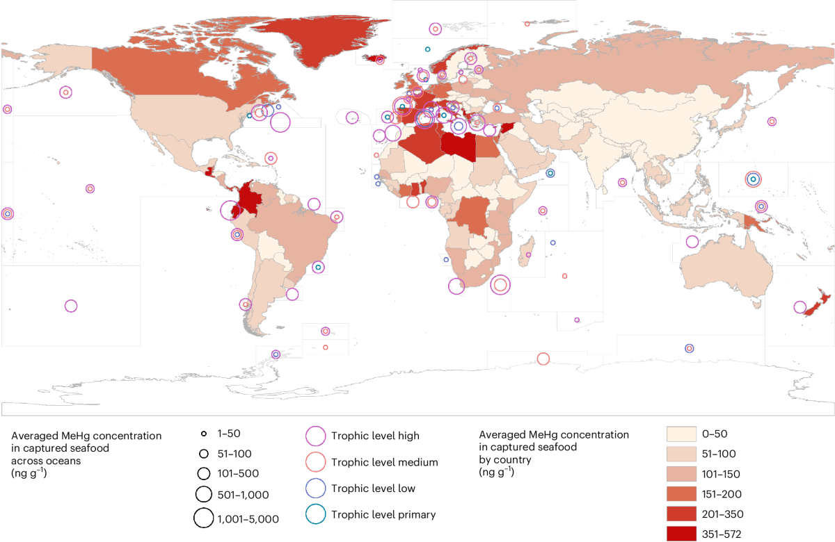 Global seafood production practices and trade patterns contribute to  disparities in exposure to methylmercury | Nature Food
