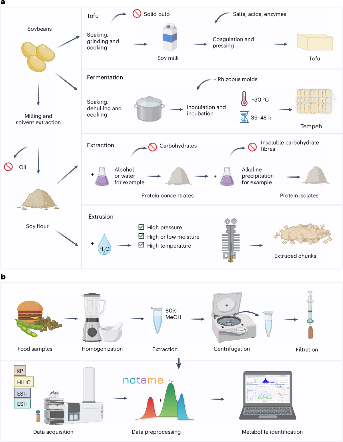 Existing food processing classifications overlook the phytochemical  composition of processed plant-based protein-rich foods | Nature Food, image size:1200x1546
