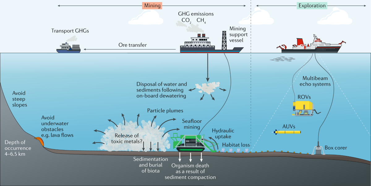 Deep-ocean polymetallic nodules as a resource for critical 
