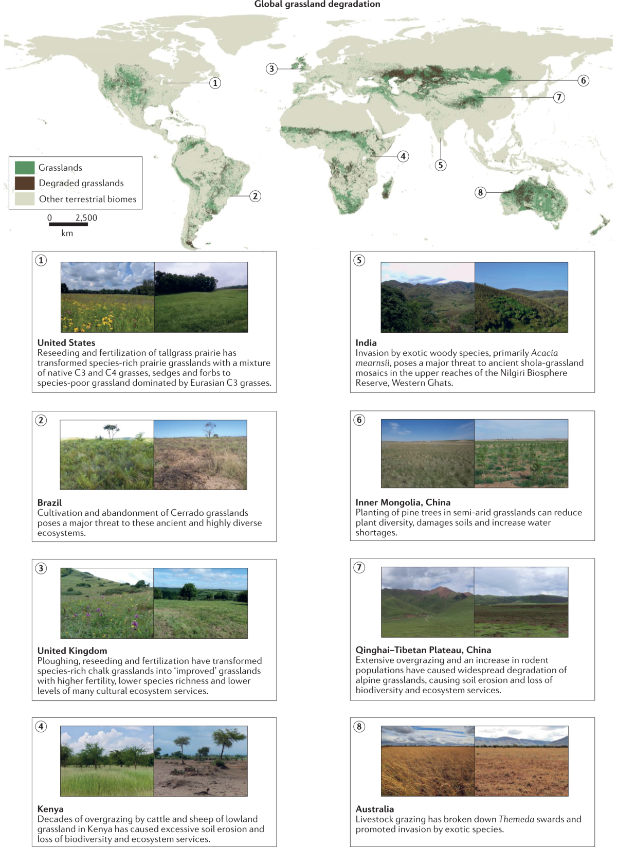 Combatting global grassland degradation