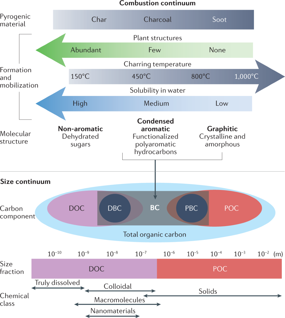 The black carbon cycle and its role in the Earth system | Nature Reviews  Earth & Environment
