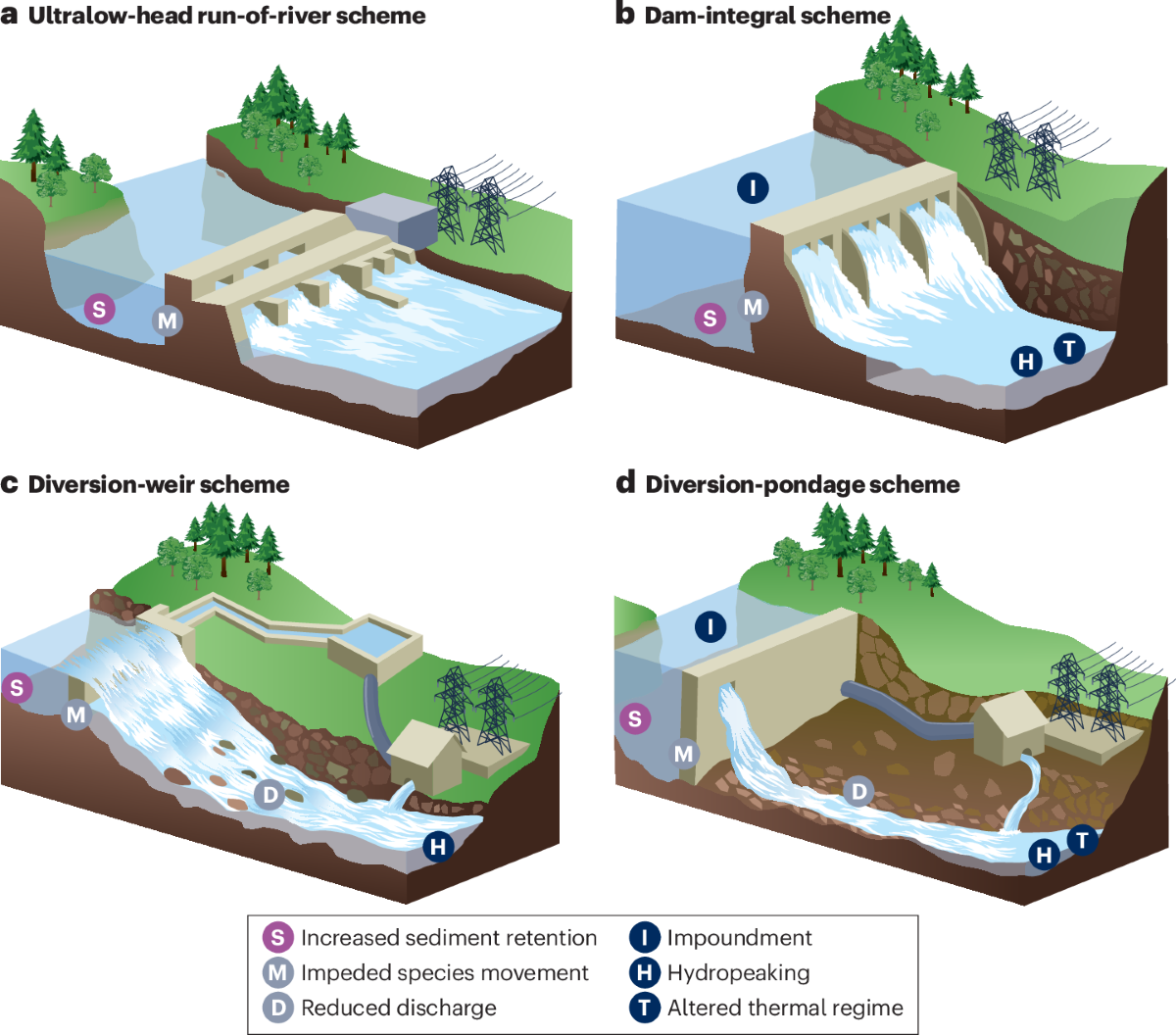PPT - How Ecosystems Change Naturally PowerPoint Presentation, free  download - ID:5733768, image size:1200x1056