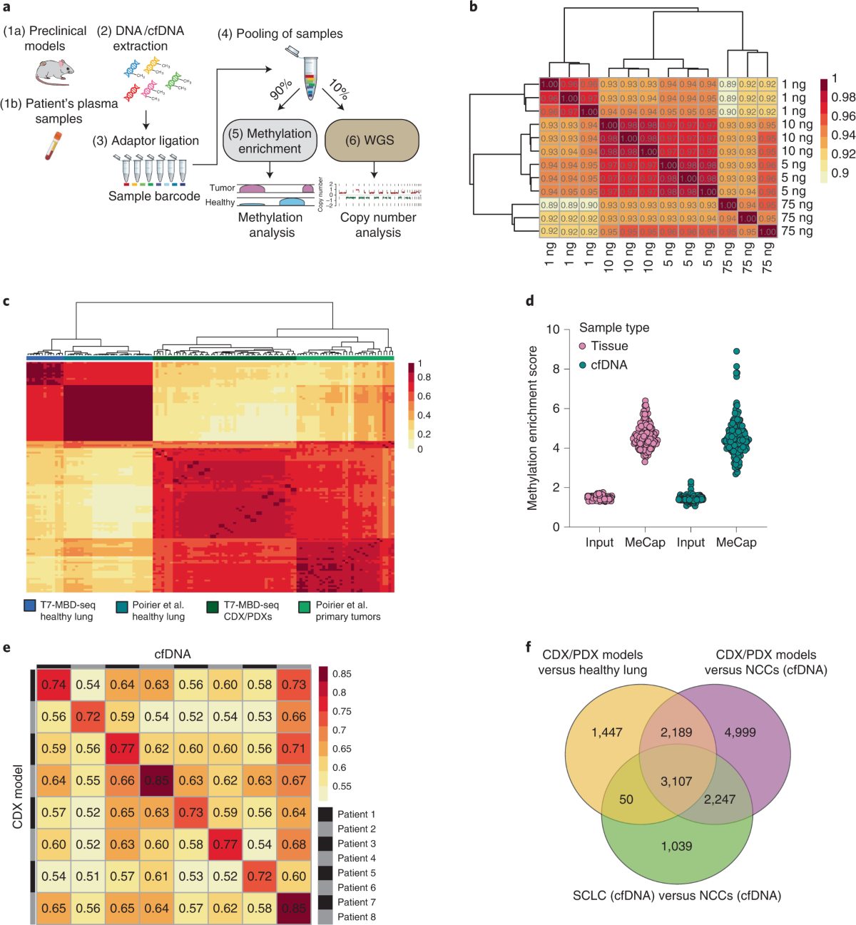 a scientific graph with lines and data points