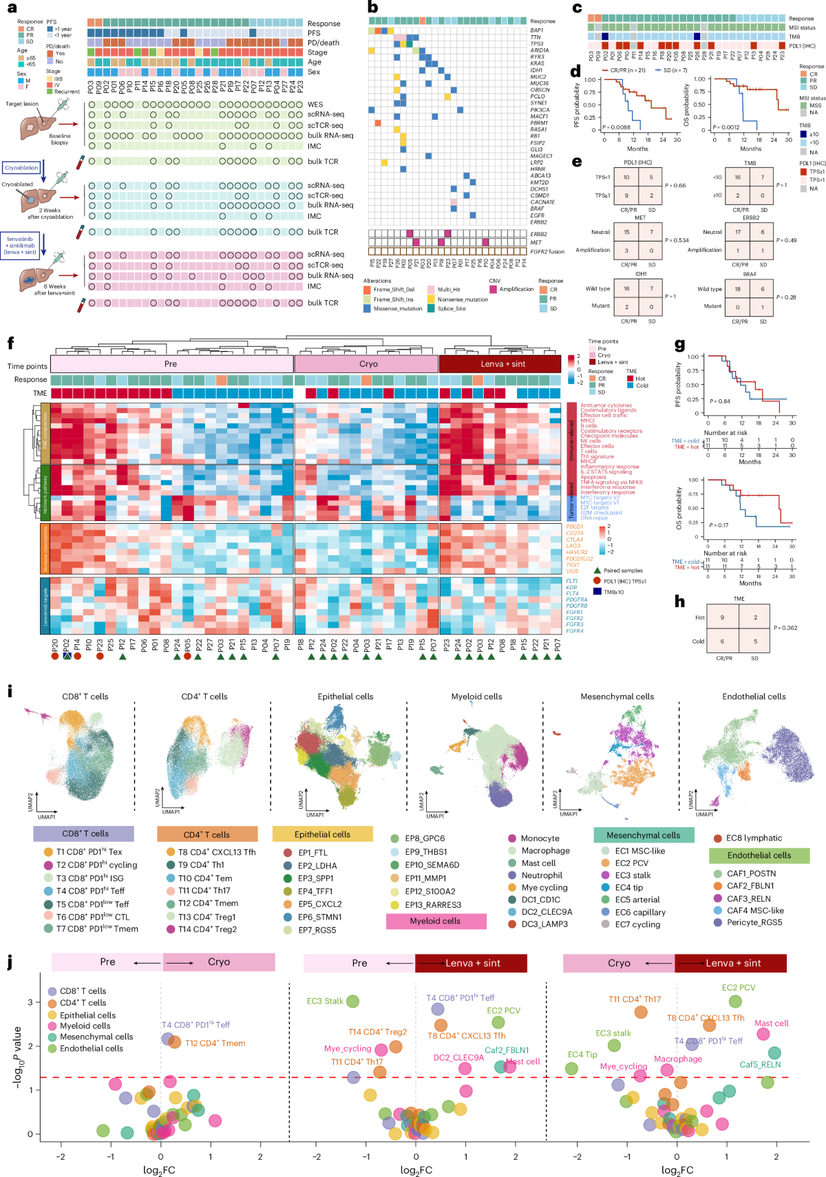 Cryoablation plus sintilimab and lenvatinib in advanced or metastatic  intrahepatic cholangiocarcinoma: a phase 2 trial | Nature Cancer