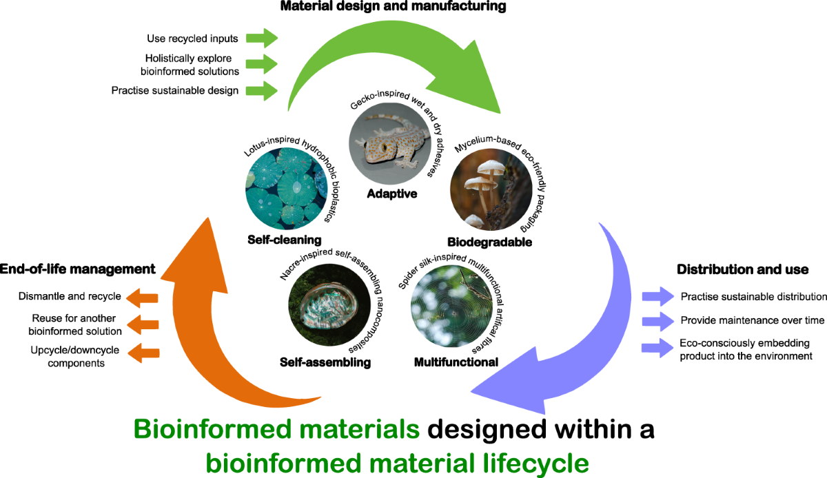 Challenges and opportunities for innovation in bioinformed ... - Nature