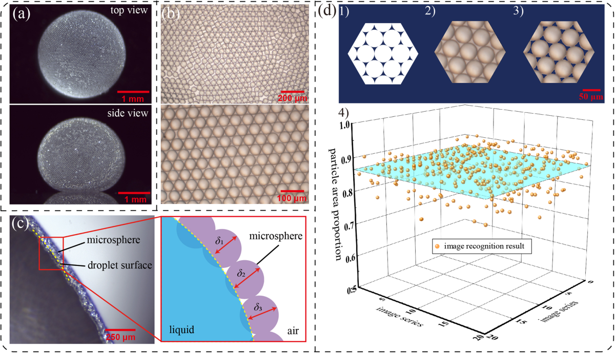 Fabrication of stable monolayer liquid marbles with reduced particle  coverage and locomotion on hydrophilic surface | Communications Materials