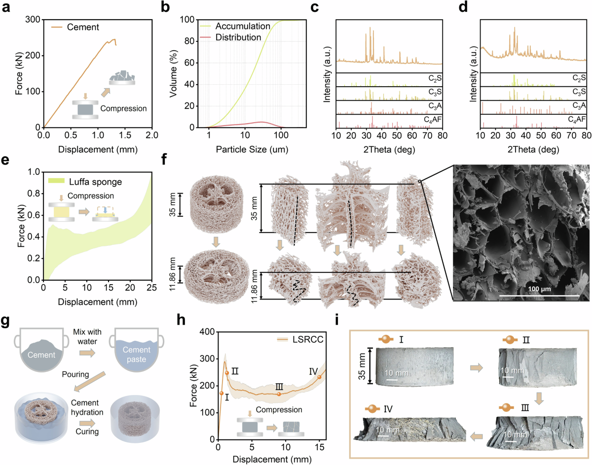Luffa sponge as a sustainable reinforcement for impact-resistant  cementitious composites | Communications Materials