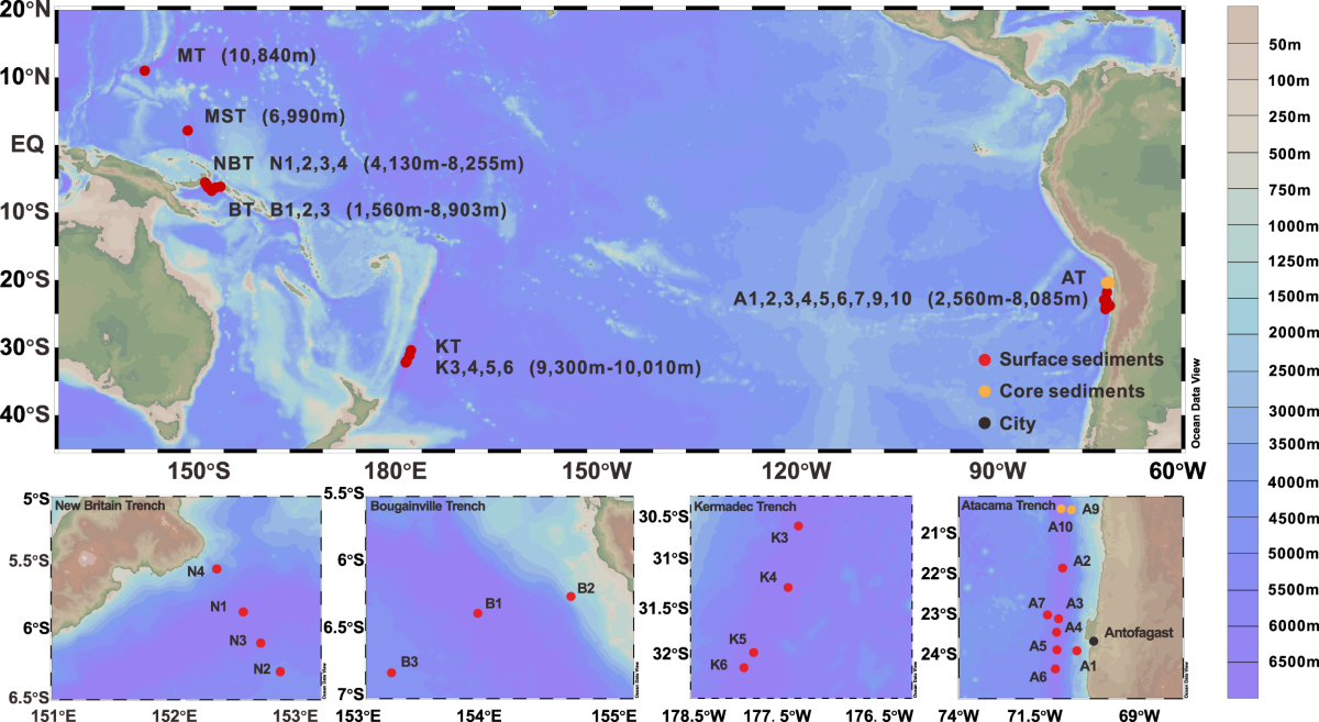 The hadal zone is an important and heterogeneous sink of black carbon in  the ocean | Communications Earth & Environment