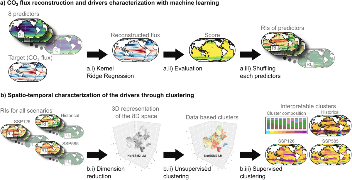 Machine learning reveals regime shifts in future ocean carbon 