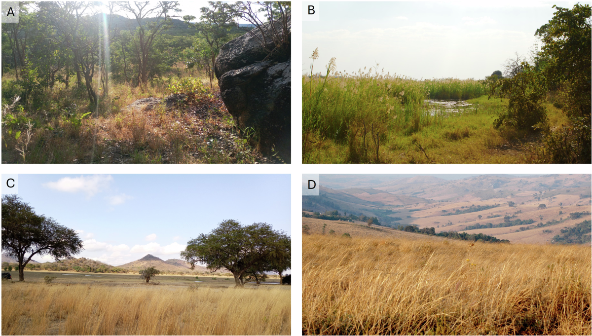 Biogeochemical evidence for targeted landscape use in ancient foragers of  Malawi | Communications Earth & Environment