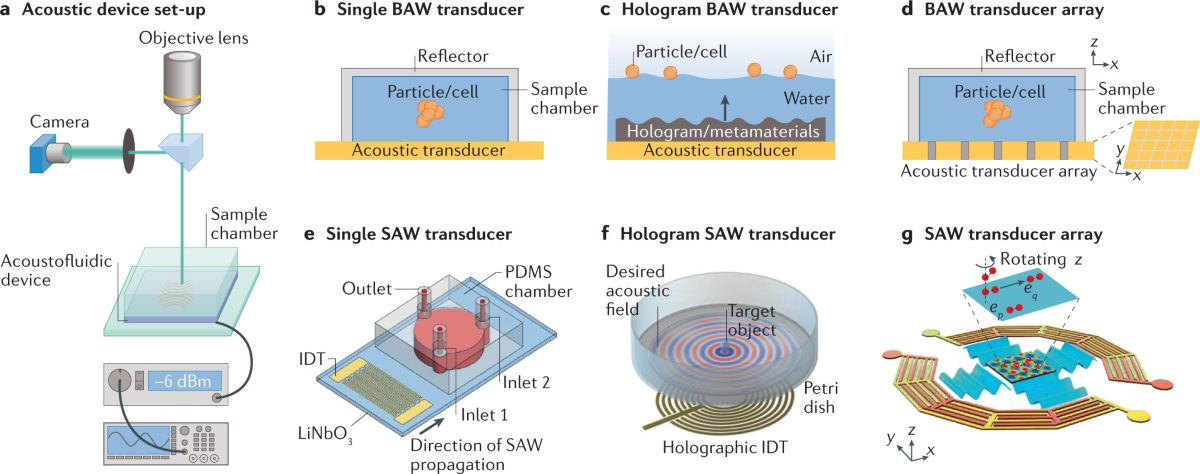 Acoustofluidics for biomedical applications | Nature Reviews 
