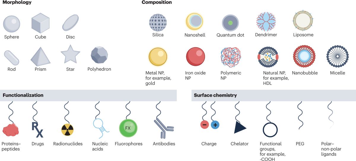how much is kb glutathione in mercury drugstore 2018 Targeting gut microbial nitrogen recycling and cellular uptake of ammonium to improve bortezomib resistance multiple myeloma: Cell Metabolism Nanomaterial-based contrast agents | Nature