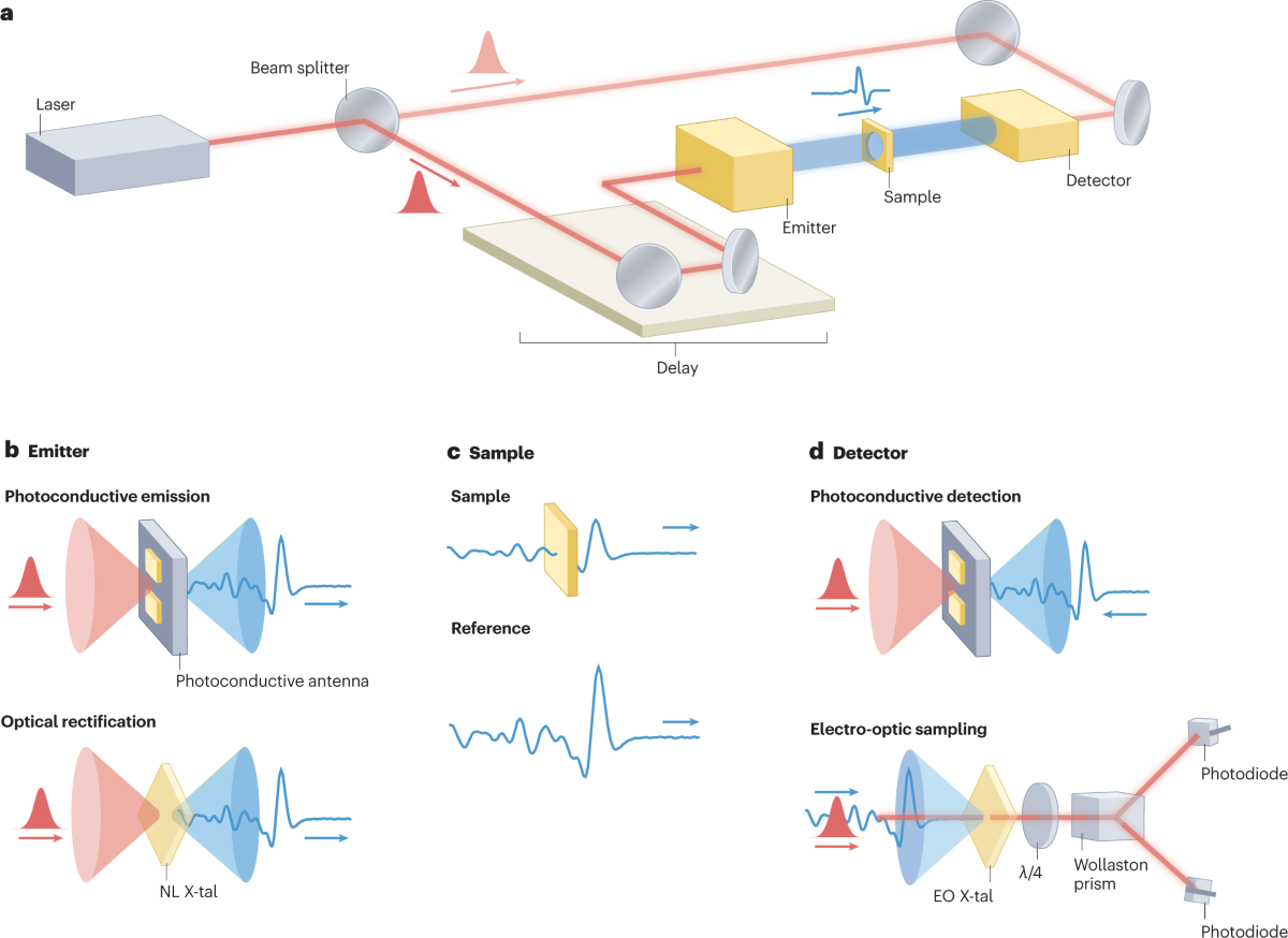 terahertz time domain spectroscopy
