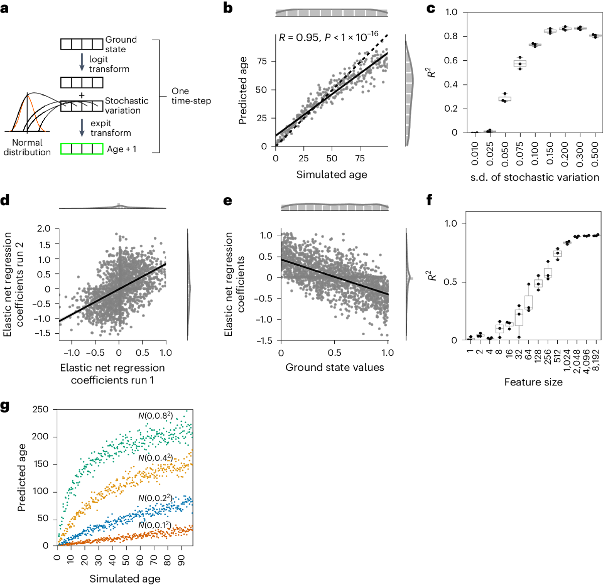 Aging clocks based on accumulating stochastic variation | Nature Aging