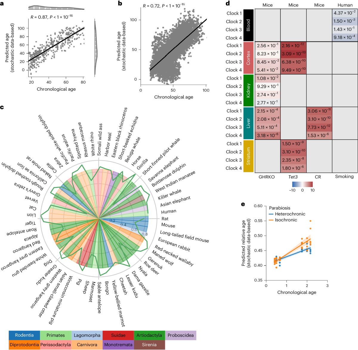 Aging clocks based on accumulating stochastic variation | Nature Aging