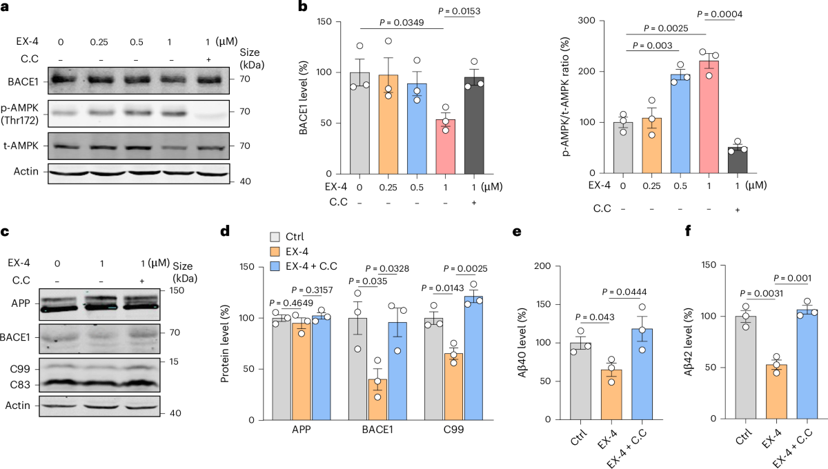 Activation of AMPK by GLP-1R agonists mitigates Alzheimer-related  phenotypes in transgenic mice