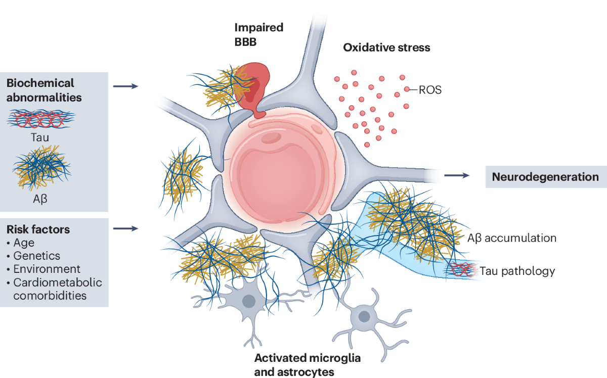 Repurposing glucagon-like peptide-1 receptor agonists for the treatment of  neurodegenerative disorders