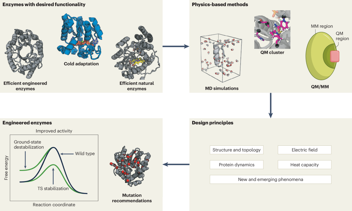 Physics-based modeling in the new era of enzyme engineering | Nature  Computational Science