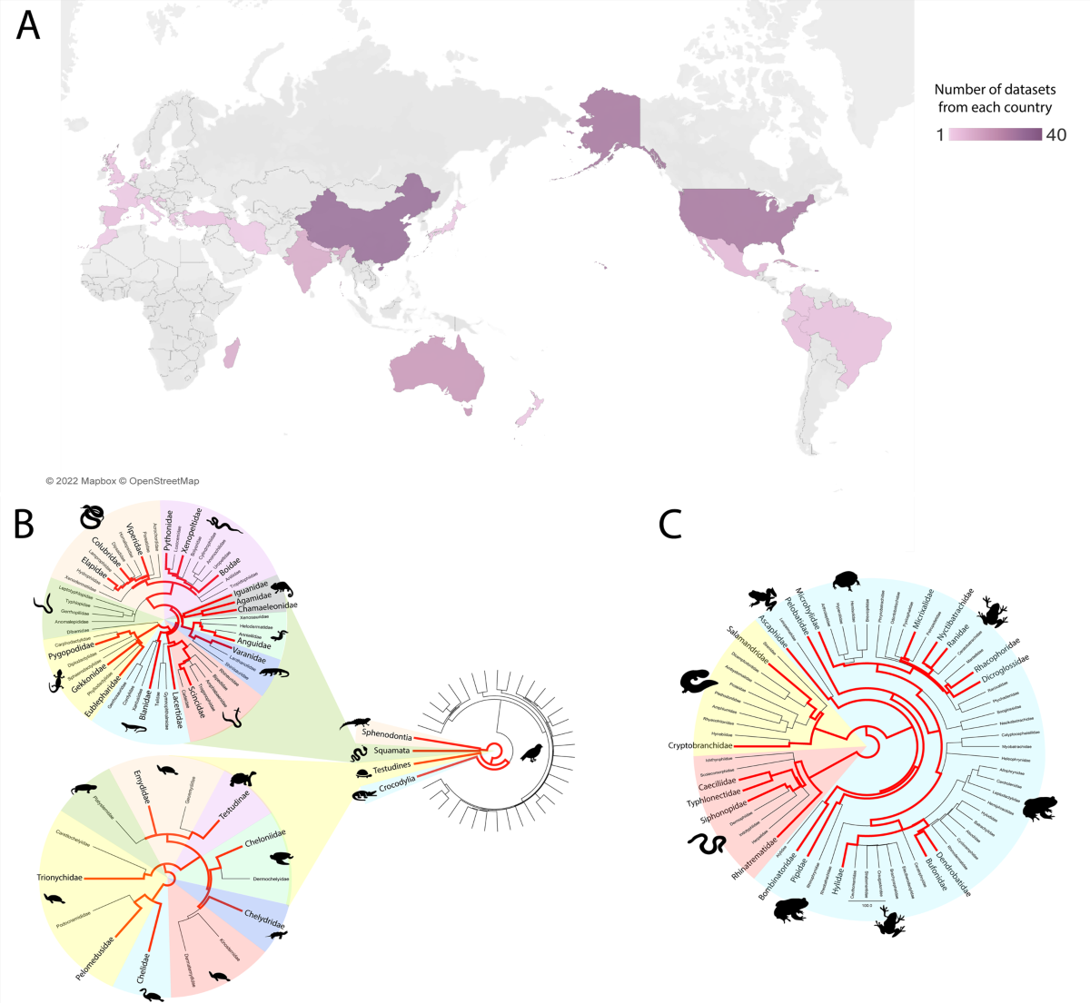 Revealing the uncharacterised diversity of amphibian and reptile viruses |  ISME Communications, image size:1200x1105