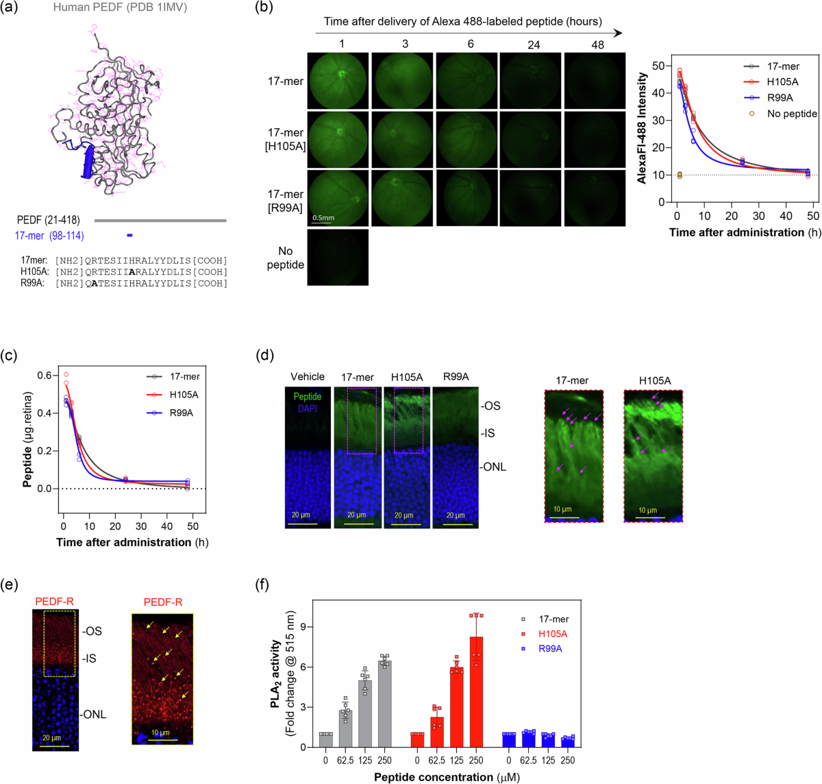 Your Review: Project Xanadu - The Internet That Might Have Been, image size:1200x1144