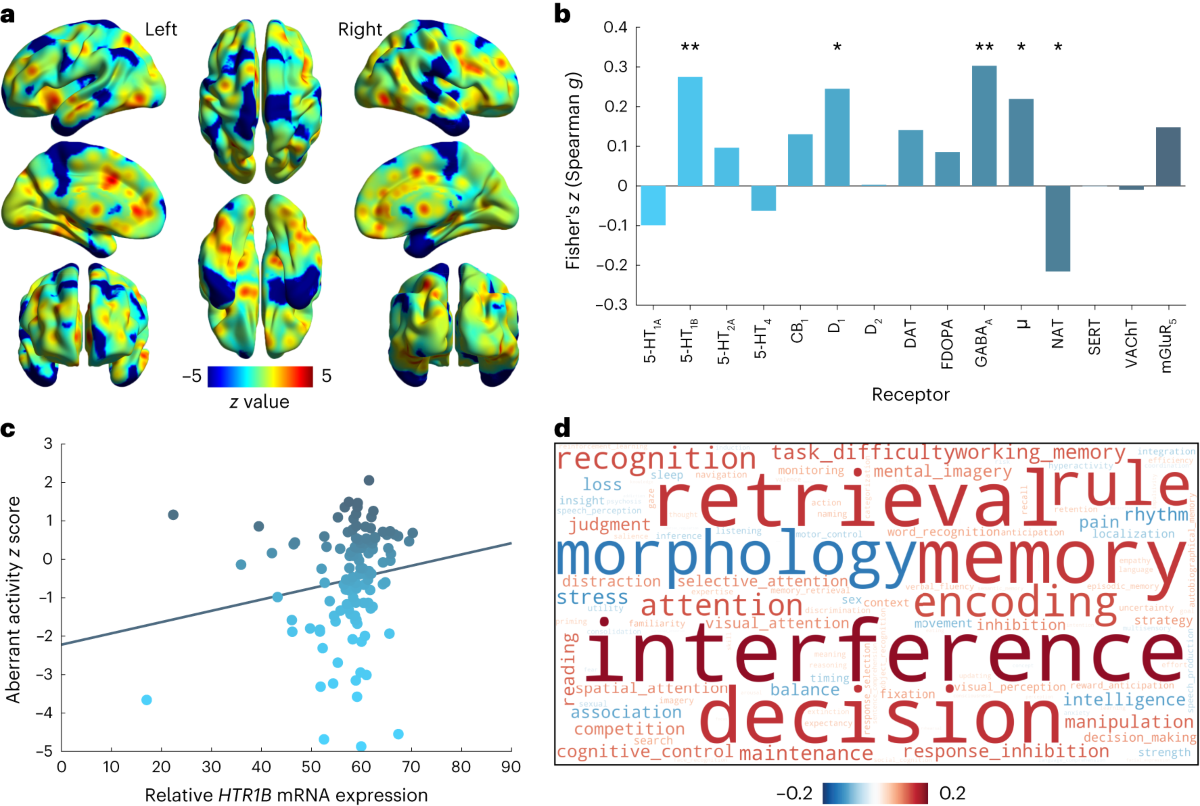 pedophilia Aberrant brain activity in pedophilia links to receptor distribution, gene  expression, and behavior | Nature Mental Health