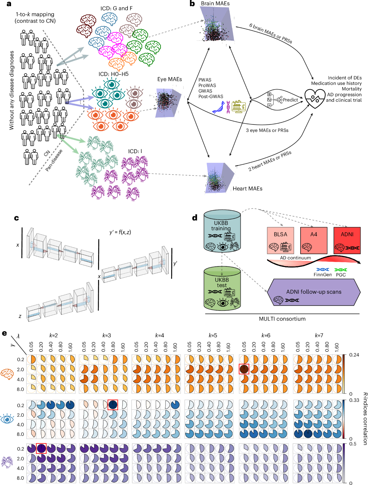 Multi-organ AI endophenotypes chart the heterogeneity of brain, eye and  heart pan-disease | Nature Mental Health