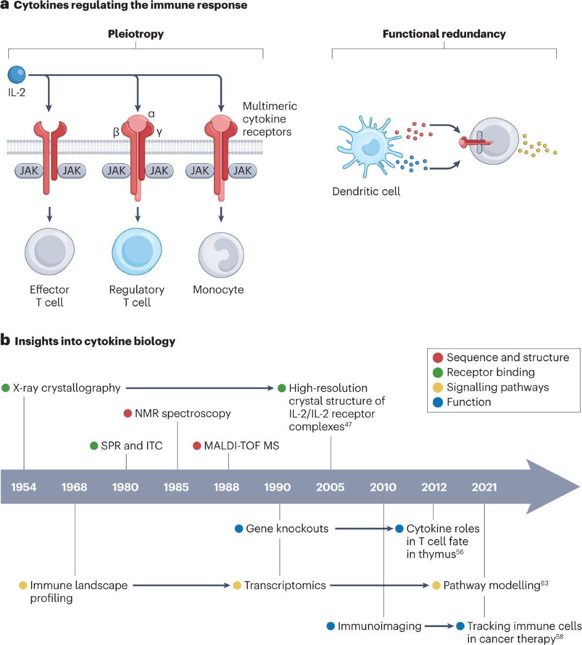 Engineering cytokine therapeutics | Nature Reviews Bioengineering