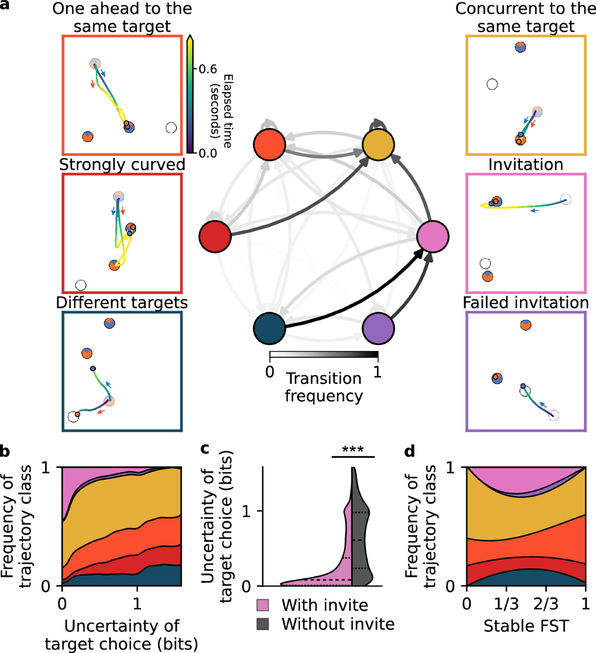 Continuous dynamics of cooperation and competition in social  decision-making | Communications Psychology