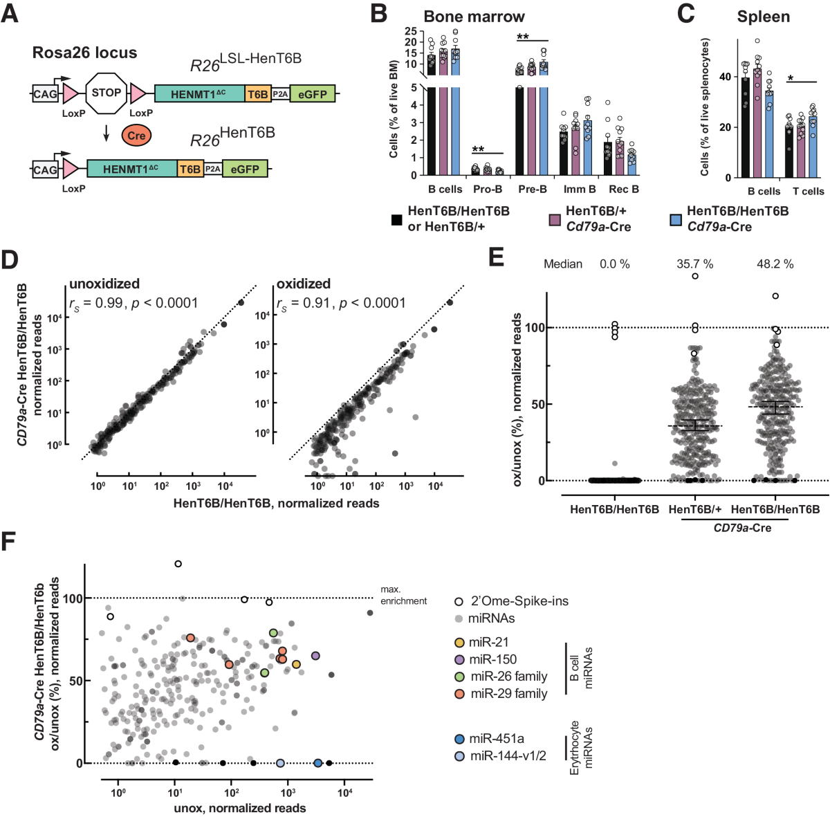 Mime-seq 2.0: a method to sequence microRNAs from specific mouse cell types  | The EMBO Journal | Springer Nature Link