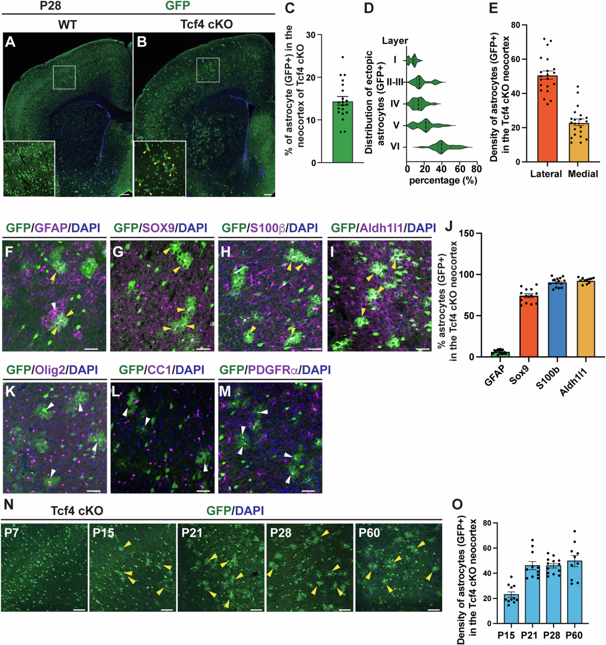 Outdoor dining italy hi-res stock photography and images - Page 3 - Alamy, image size:1200x1277