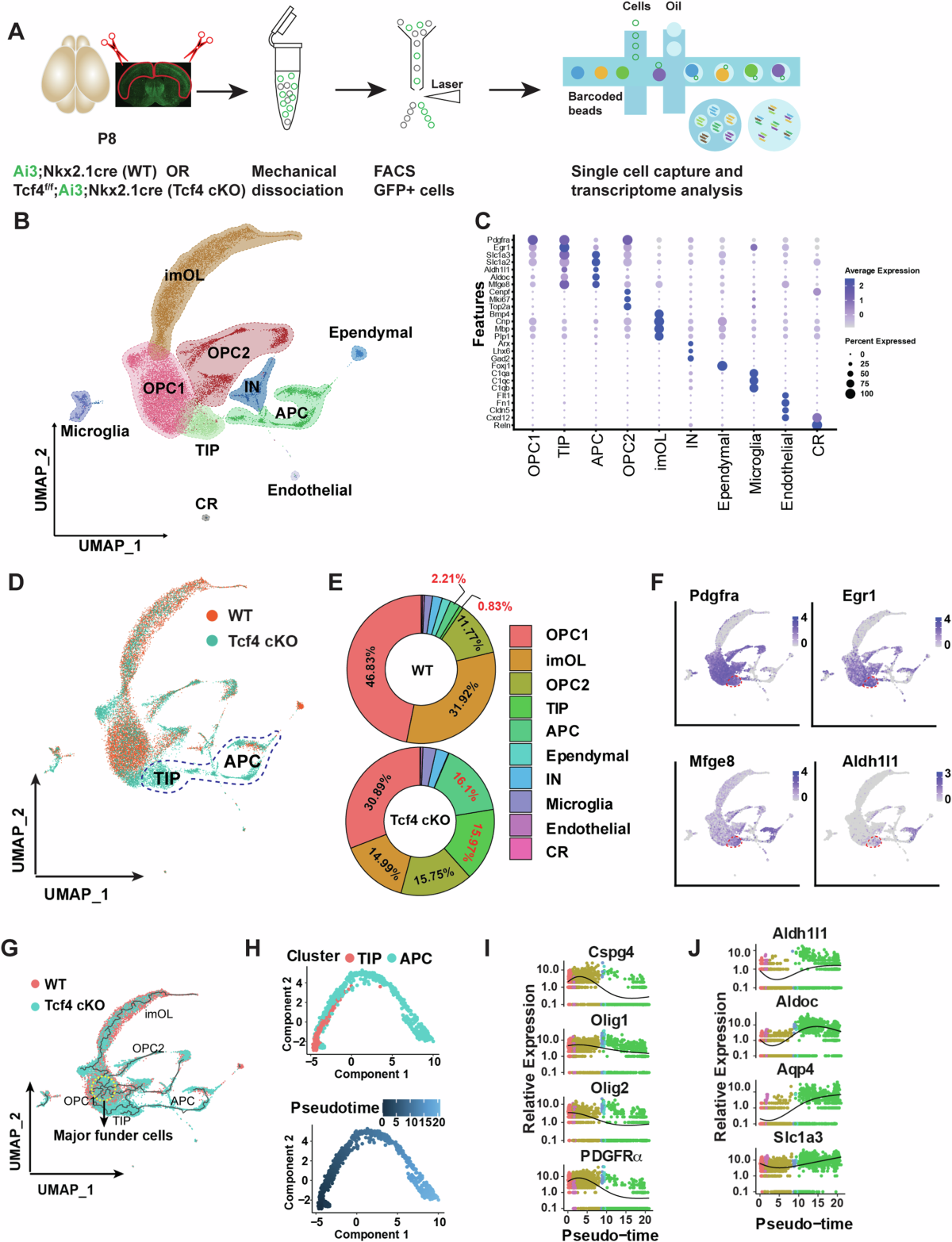 PORTRAITS OF MR. GUILLERMO ALFONSO AND JOSE LUIS LANDAZURI Friends, I share  these two great portraits that I worked in Ecuador on two very important  characters in the Landazuri family, Don Guillermo, image size:1200x1566