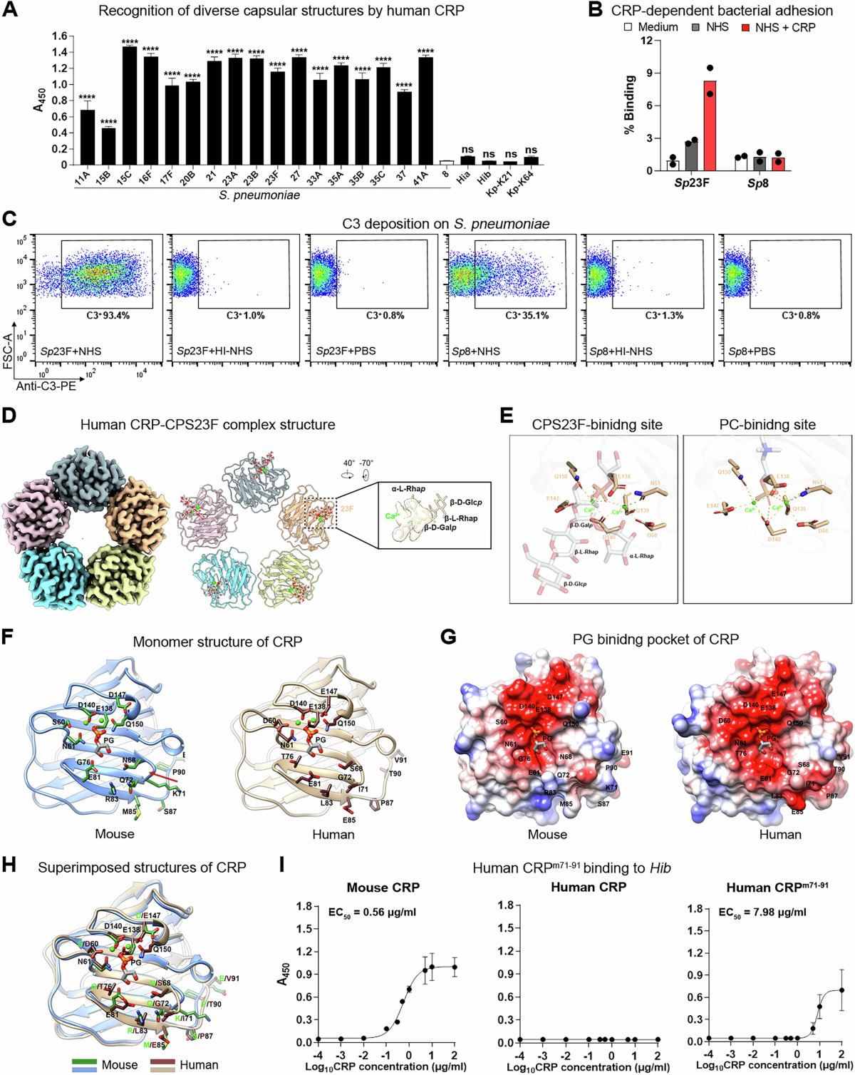 C-reactive protein is a broad-spectrum capsule-binding receptor for hepatic  capture of blood-borne bacteria | The EMBO Journal | Springer Nature Link
