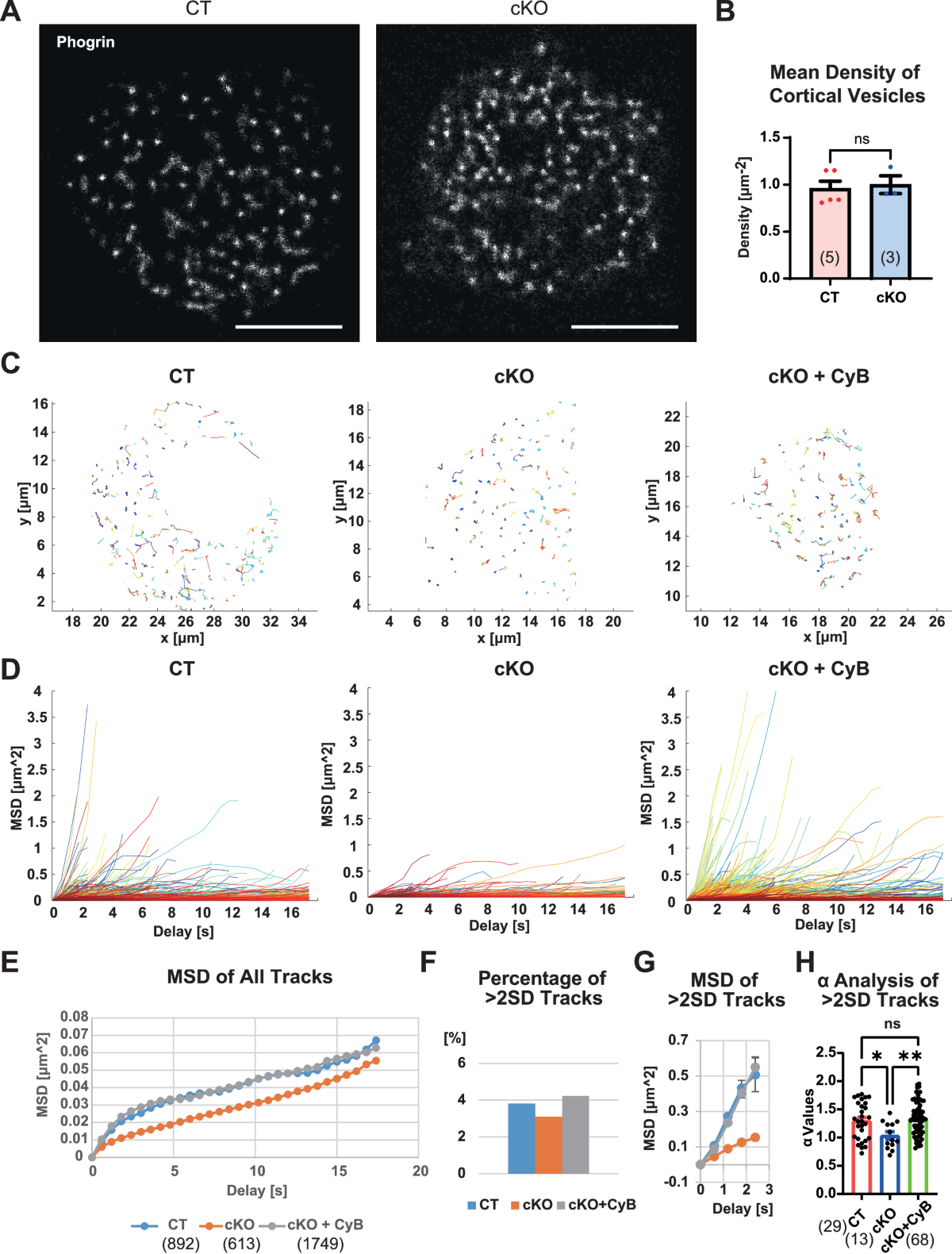 Bahamas Red Cross Annual Raffle 2018 WINNERS, image size:1200x1580