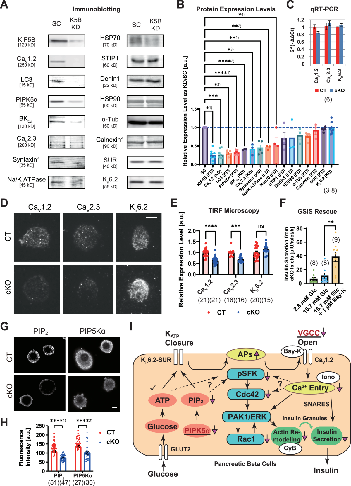 JpMJ,,, image size:1200x1658