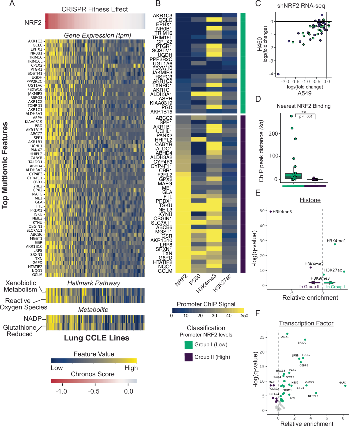 NRF2 supports non-small cell lung cancer growth independently of CBP/p300-enhanced glutathione synthesis | EMBO Reports | Springer Nature Link NRF2 supports non-small cell lung cancer growth independently of CBP/p300-enhanced glutathione synthesis | EMBO Reports | Springer Nature Link