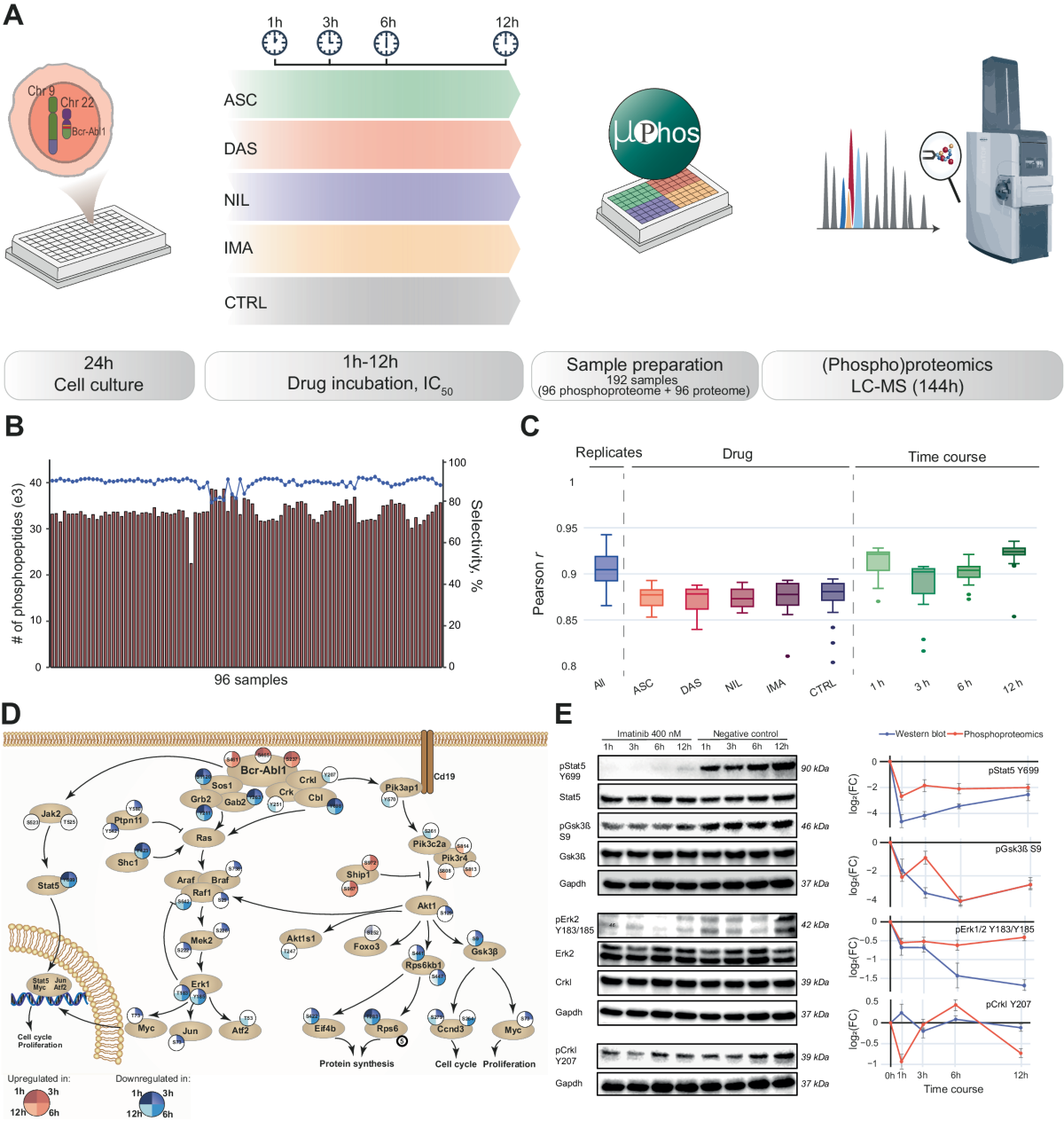 phospho dsip Phospho DSIP peptide main image 1