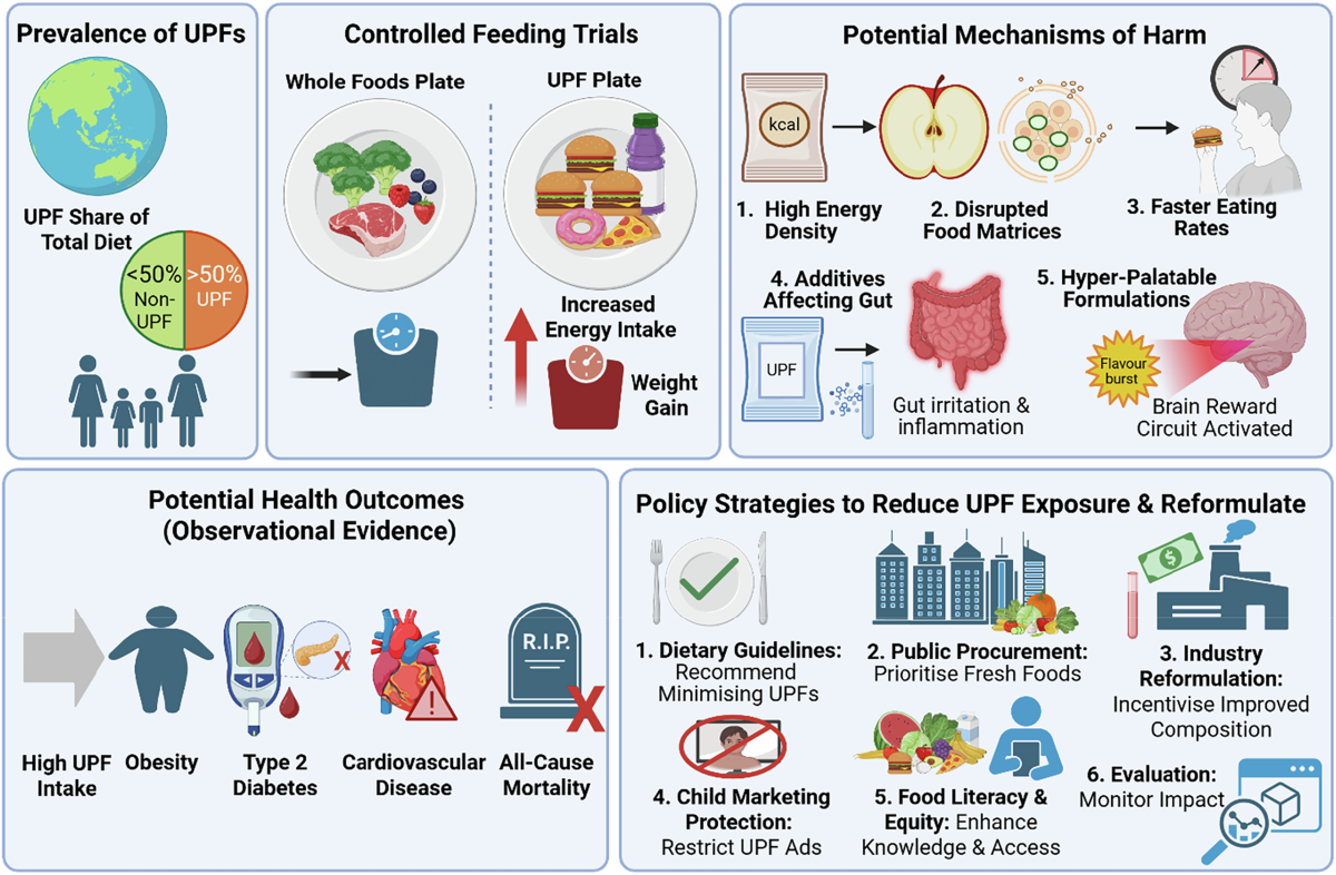 Ultra-processed foods and cardiometabolic risk: from evidence to policy |  npj Metabolic Health and Disease