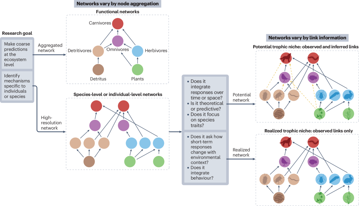 Tailoring interaction network types to answer different ecological  questions | Nature Reviews Biodiversity