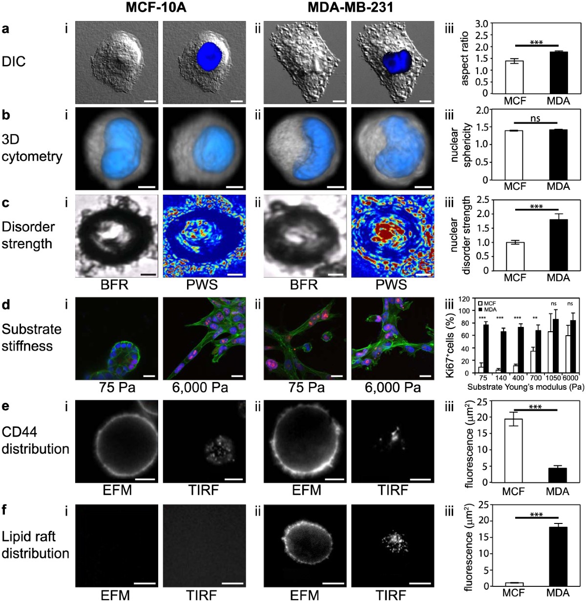 A physical sciences network characterization of non-tumorigenic and  metastatic cells | Scientific Reports
