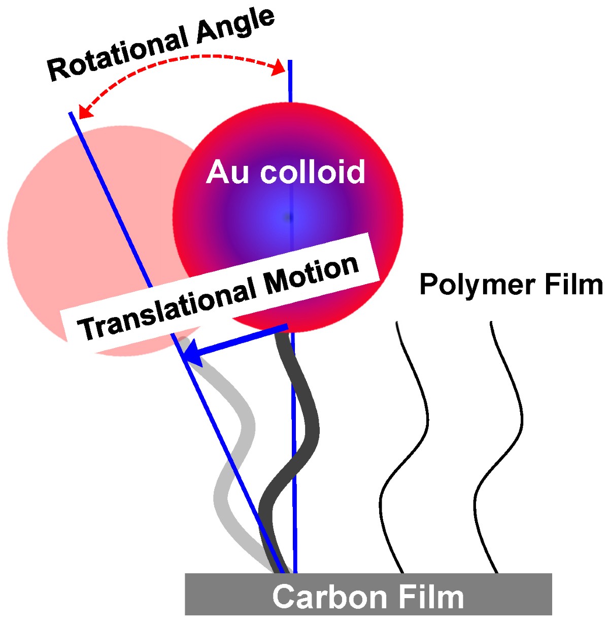 Quiz \u0026 Worksheet - Translational vs. Rotational Motion | Study.com, image size:1200x1226