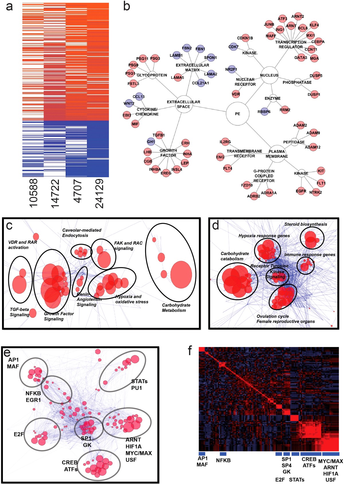 Integrative transcriptome analysis reveals dysregulation of canonical  cancer molecular pathways in placenta leading to preeclampsia | Scientific  Reports