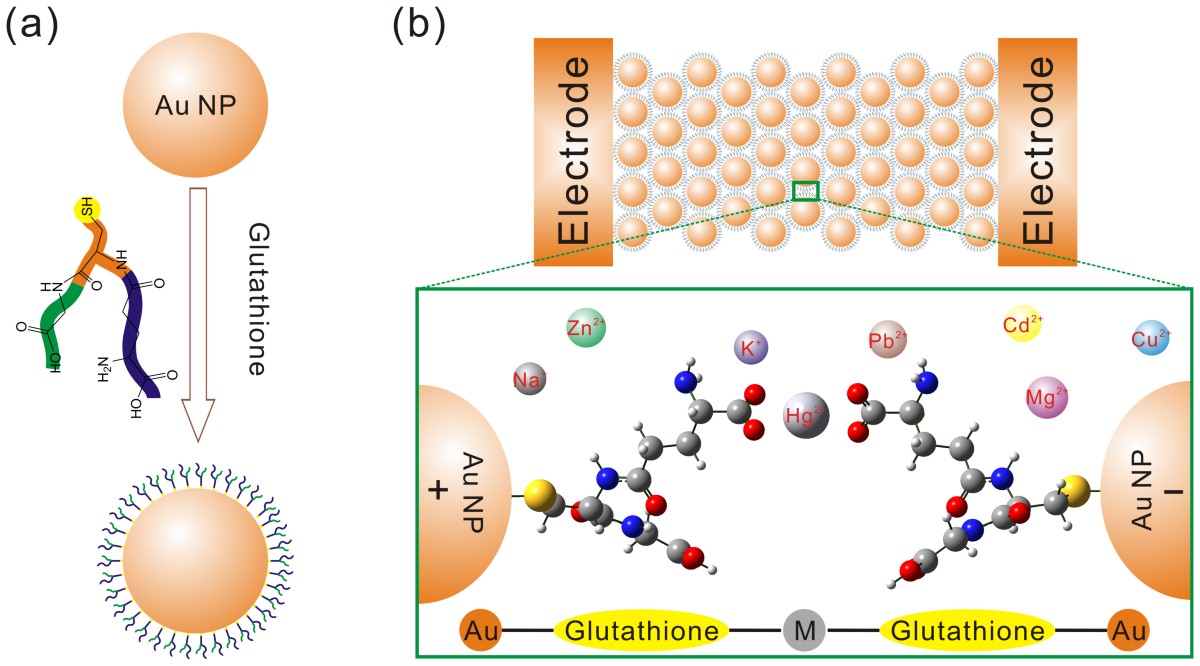 glutathione-au electrode A molecular-gap device for specific determination of mercury ions extra-pure-white-plus-soap