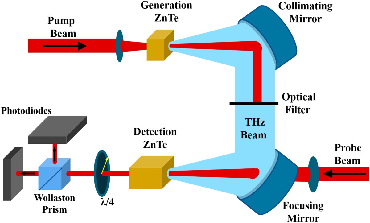 Optical Rectification