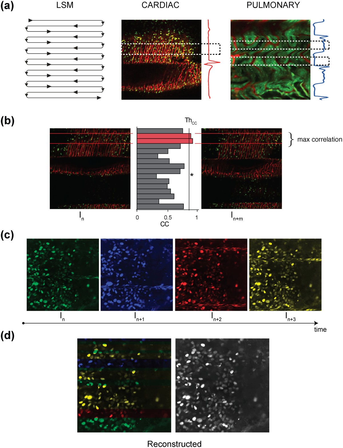 lsm-2004 pimpandhost imagesize ZEISS LSM 990 Product Information