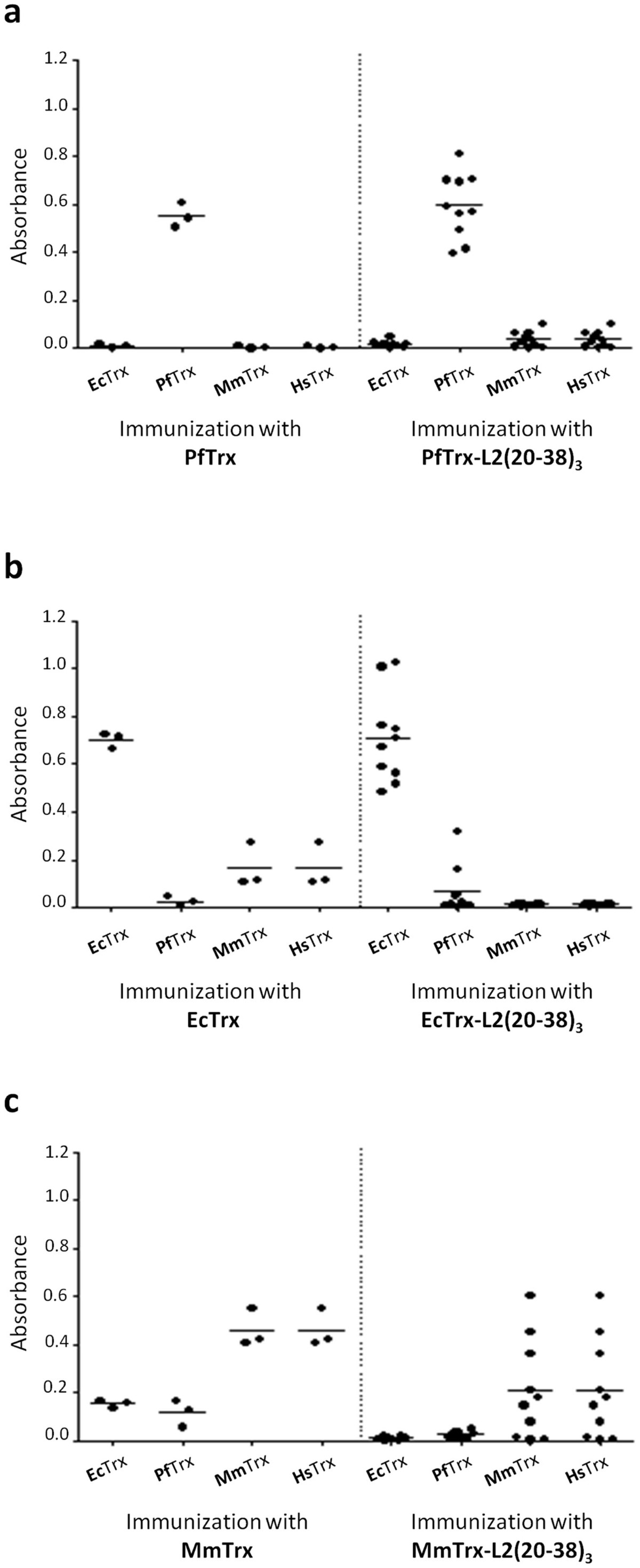 A high-performance thioredoxin-based scaffold for peptide immunogen  construction: proof-of-concept testing with a human papillomavirus epitope  | Scientific Reports